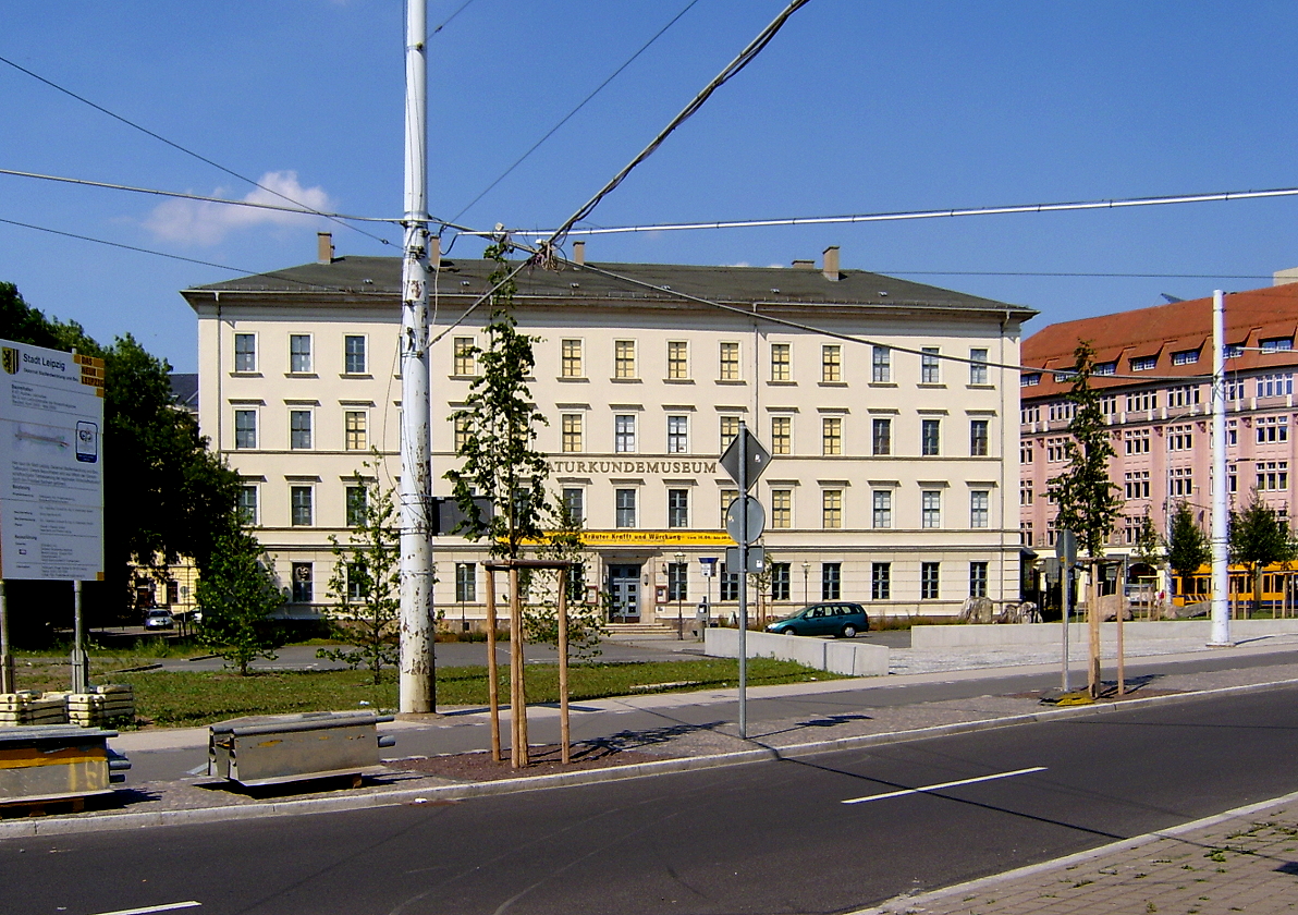 Das Naturkundemuseum 2005