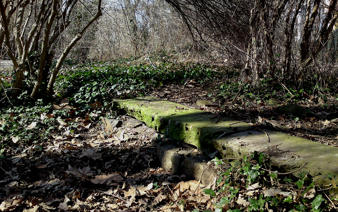Uferbefestigung des Kuhstrandwassers bei der Lutherkirche - aufgenommen im Frühjahr 2011